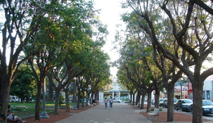 Escapadas de Buenos Aires: está a 150 km y es un oasis de paz.