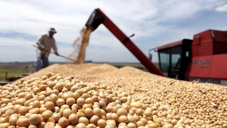 Las exportaciones de soja marcaron récords.