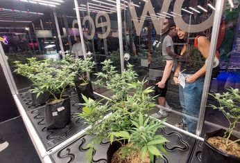 C5N | ExpoCannabis 1.jpeg