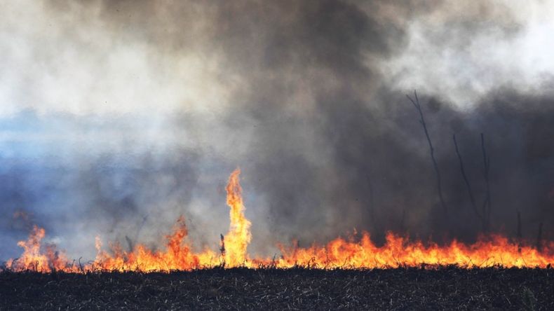 Se reavivó el fuego en el Delta del Paraná y el humo podríavolver a Rosario y zona metropolitana