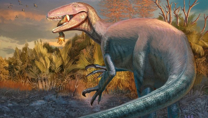 Reconstrucción en vida del nuevo dinosaurio carnívoro Joaquinraptor casali. Ilustración por Andrew McAfee