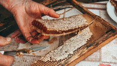 El Camino de la Miel cordobés para conocer estas vacaciones 2026. El Camino de la Miel cordobés para conocer estas vacaciones 2026.