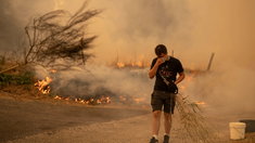 Los incendios se cobraron la vida de 12 personas.