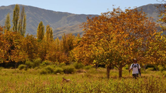 Un destino en la Argentina que no es masivo. Un destino en la Argentina que no es masivo.