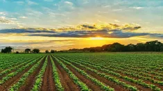 El recurso fue presentado por la Fundación Interactiva para Promover la Cultura del Agua.