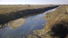 El cuerpo fue encontrado en el arroyo Saladillo. El cuerpo fue encontrado en el arroyo Saladillo.