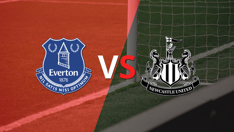Everton cayó ante Newcastle United con dos goles de Callum Wilson