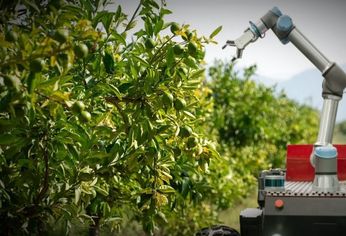 El robot combina dos sistemas integrados: una cámara para identificar y un brazo ejecutor. El robot combina dos sistemas integrados: una cámara para identificar y un brazo ejecutor.