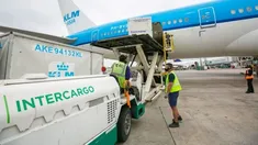 Intercargo despidió a trabajadores acusados de maltratar los equipajes en Aeroparque