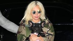 VIDEO: Así fue el ataque y robo al paseador de perros de Lady Gaga VIDEO: Así fue el ataque y robo al paseador de perros de Lady Gaga