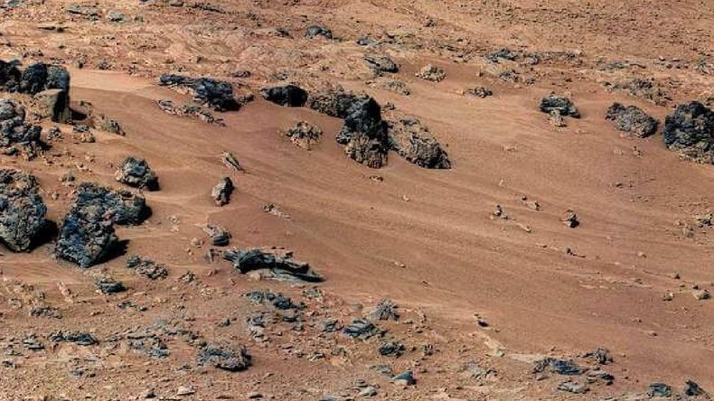 La NASA encontró un hongo en Marte: qué conclusiones sacaron.