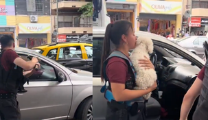 Un final feliz para el perrito que quedó encerrado dentro de un auto en Flores.&nbsp;