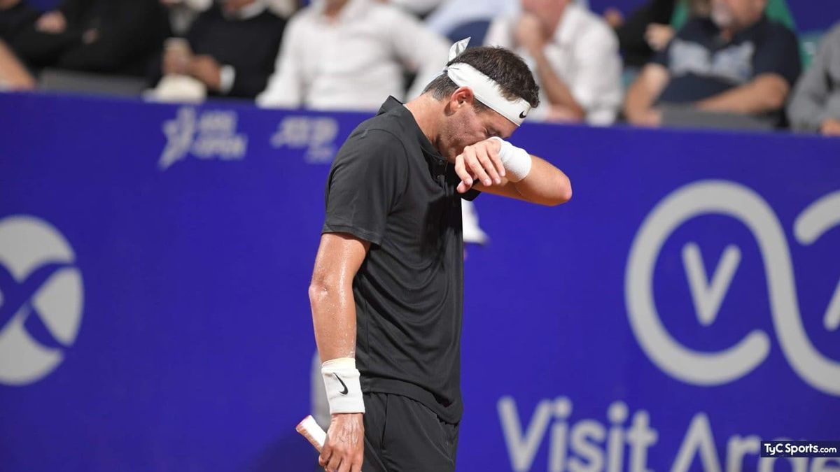 Juan Martín del Potro habló del robo en su casa: 