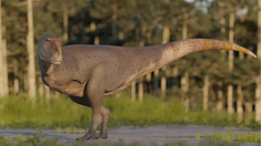 Esta investigación forma parte del proyecto El Fin de la Era de los Dinosaurios en Patagonia, apoyado por la National Geographic Society. Esta investigación forma parte del proyecto El Fin de la Era de los Dinosaurios en Patagonia, apoyado por la National Geographic Society.