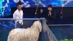 Guido Kaczka vuelve con A todo o nada tras muchos años. Guido Kaczka vuelve con A todo o nada tras muchos años.