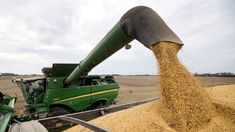 La agroexportación aportó más de 2.000 millones de dólares en marzo. La agroexportación aportó más de 2.000 millones de dólares en marzo.