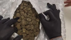 Parte de la marihuana secuestrada. Parte de la marihuana secuestrada.