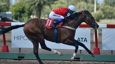 Goncalves ganó el Gran Premio Dardo Rocha. Hoy sigue la acción en La Plata. Goncalves ganó el Gran Premio Dardo Rocha. Hoy sigue la acción en La Plata.