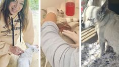 La actriz se mostró angustiada en sus redes sociales por la salud de sus perros Benito y Tina. La actriz se mostró angustiada en sus redes sociales por la salud de sus perros Benito y Tina.
