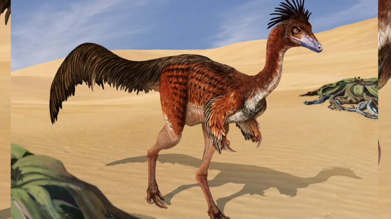 Bonapartenykus ultimus, un dinosaurio que habitaba la Patagonia hace aproximadamente 70 millones de años.  Ilustración: Abel G. Montes