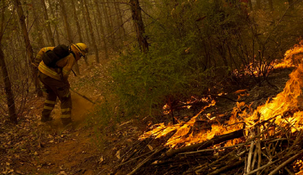 Incendios en Chile: ya son 25 los muertos y se consumieron más de 430.000 hectáreas.