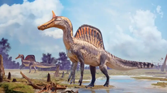 Este nuevo descubrimiento brinda más información sobre la especie. Este nuevo descubrimiento brinda más información sobre la especie.