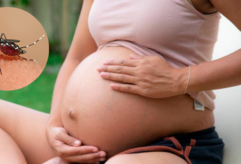 C5N | Dengue y embarazo 4-4-24.png