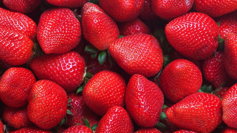 Las frutillas son una opción excelente para quienes buscan controlar la glucosa, además de aportar antioxidantes y fibra beneficiosos para la salud cardiovascular.