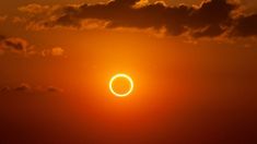 El eclipse solar anular se observó en distintas partes de la Argentina y fue viral. El eclipse solar anular se observó en distintas partes de la Argentina y fue viral.