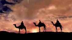 Se celebra todos los 6 de enero en Argentina y otras partes del mundo. Se celebra todos los 6 de enero en Argentina y otras partes del mundo.