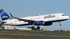 Los cuerpos fueron encontrados en una aeronave. Los cuerpos fueron encontrados en una aeronave.