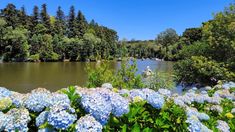 En este lugar abundan las chocolaterías artesanales, parques temáticos y miradores naturales. En este lugar abundan las chocolaterías artesanales, parques temáticos y miradores naturales.