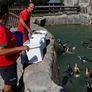Los pingüinos iban a ser vendidos para pagar deudas.