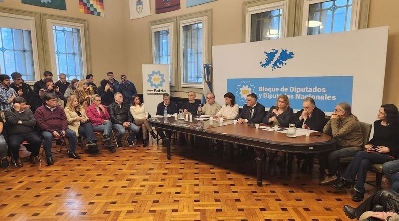 Los diputados de Unión por la Patria presentaron la denuncia contra Bullrich.