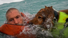 El video se volvió viral en redes sociales. El video se volvió viral en redes sociales.