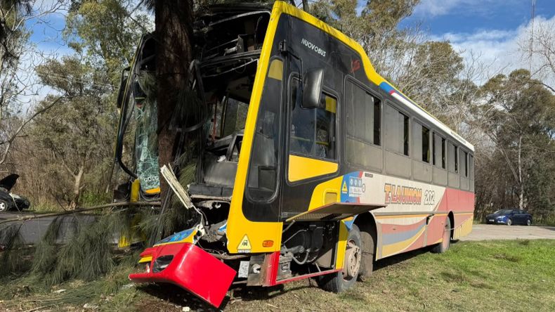 Así quedó el colectivo de la línea 202 que no logró esquivar el Ford Ka en Berisso.