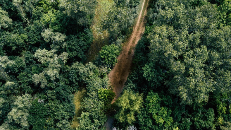 El oasis de humedal a 40 km de CABA perfecto para conocer en una escapada rápida.