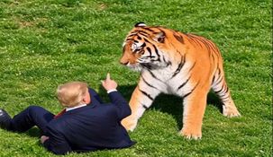 El video hecho con IA publicado por Trump.