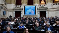 diputados: oficializaron la convocatoria para tratar los vetos de javier milei a universidades y salud pediatrica