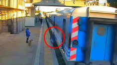 Una mujer intentó subirse al tren en movimiento y se cayó a las vías en Moreno. Una mujer intentó subirse al tren en movimiento y se cayó a las vías en Moreno.