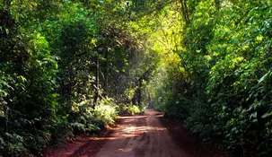 El denunciante encontró al taxista y la niña en la Reserva Selva Iryapú mientras realizaba ejercicio.