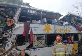El rodado pertenece a la empresa Estrela Guia Turismo y llevaba a 47 personas.