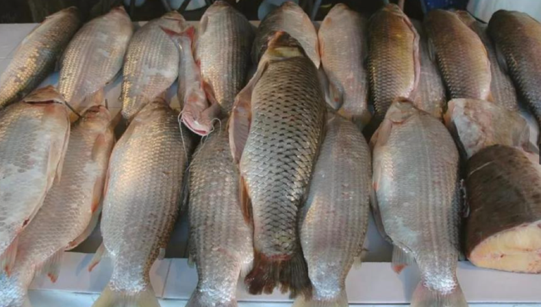 Los científicos detectaron que los sábalos contenían un alto nivel de agroquímicos.