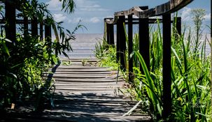 El Parque Costero del Sur, una de las mejores escapadas para realizar.