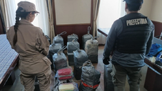 La cocaína fue incautada tras el hallazgo. La cocaína fue incautada tras el hallazgo.