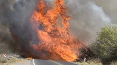 Los incendios se generaron en diferentes puntos de Córdoba. Los incendios se generaron en diferentes puntos de Córdoba.