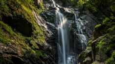 El video se volvió viral y generó indignación entre los usuarios. El video se volvió viral y generó indignación entre los usuarios.