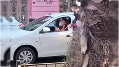 Ernestina Pais protagonizó un incidente vial el fin de semana. Ernestina Pais protagonizó un incidente vial el fin de semana.