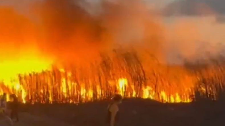 Incendios forestales en Jujuy: controlaron las llamas en zonas urbanas pero persisten 15 focos forestales.
