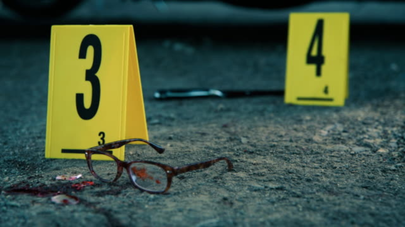 Crime Scene Berlin: Nightlife Killer es una serie documental de la N roja que detalla el caso de un asesino que logró permanecer prófugo hasta que una de sus víctimas sobrevivió.